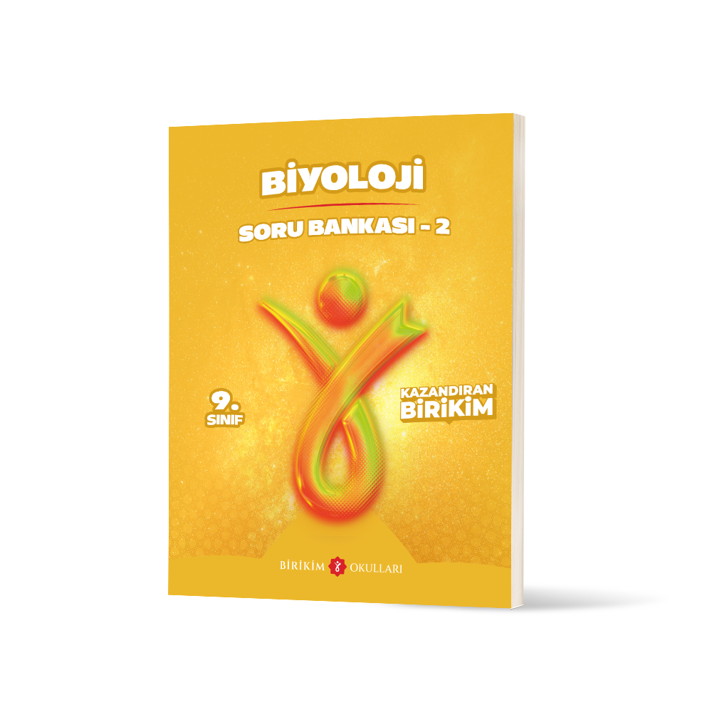 Birikim Okulları - Hız Yayınları özel kapak