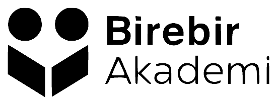Birebir Akademi logosu